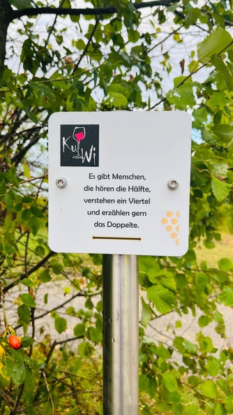 22-09-10 18-06-30 1981.jpeg